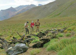 andean condors poisoned