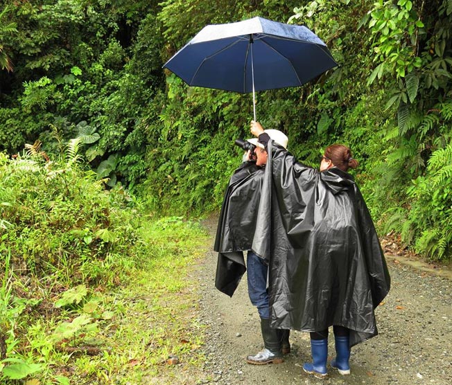 birding in colombia
