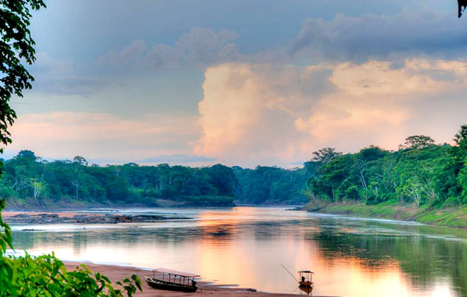 drey-seadon-flooded-tropical-evergreen-forest