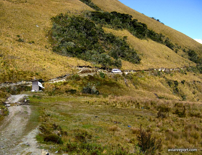 Elfin Forest Avian Report