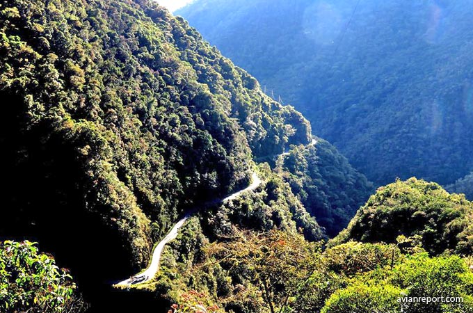 montane evergreen forest