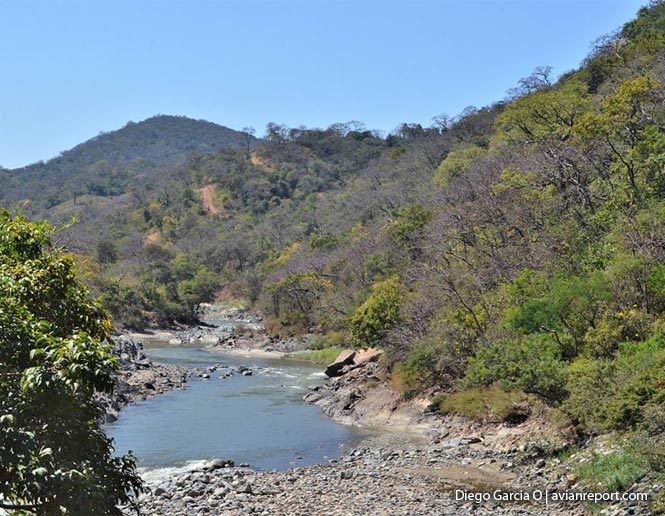 view-Tropical Deciduous Forests