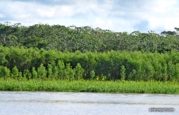 river created habitats