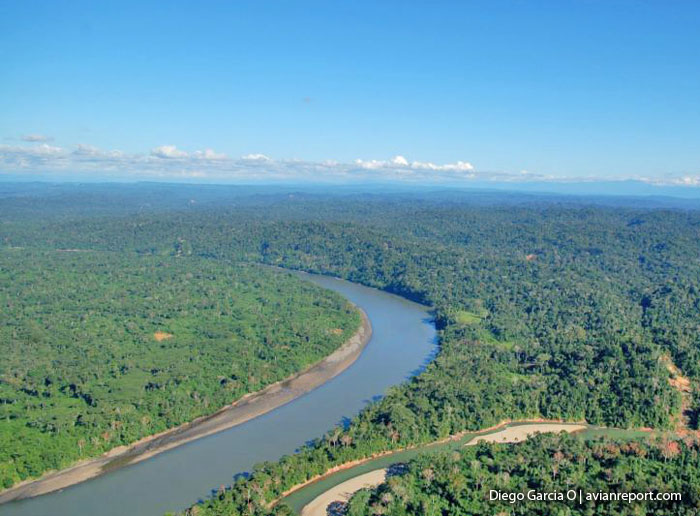sand bars - River Edge and River Island Forest
