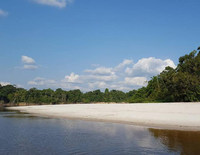 riverine sand beaches