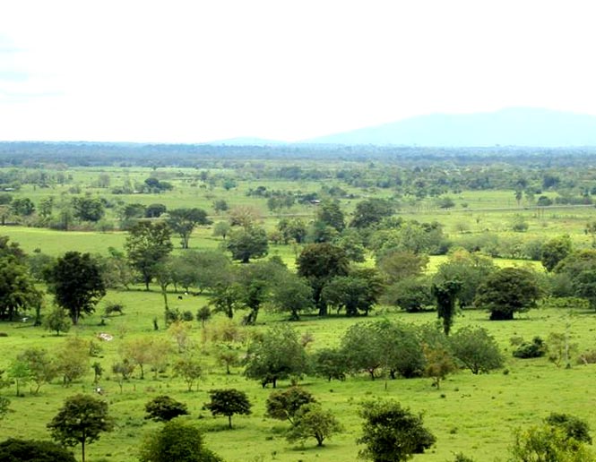 pastures and agricultural lands
