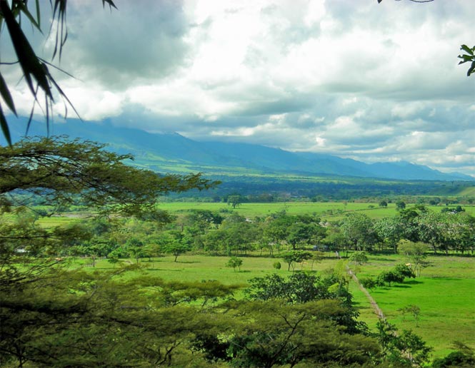 pastures and agricultural land