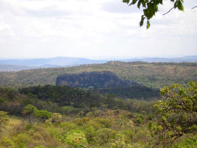 cerrado