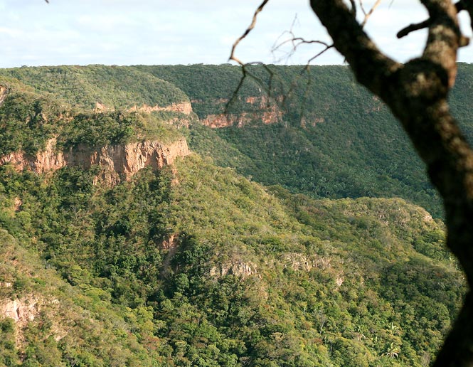 rocky outcrops