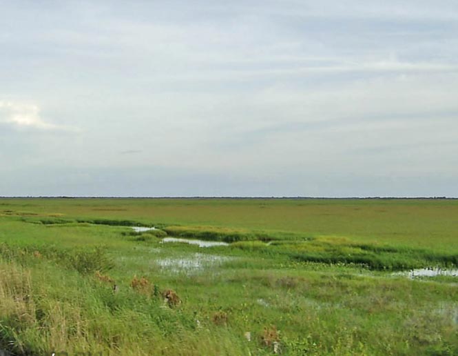 low, seasonally wet grasslands