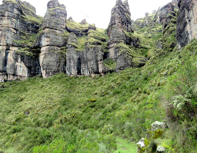 semi-humid & humid montane scrub