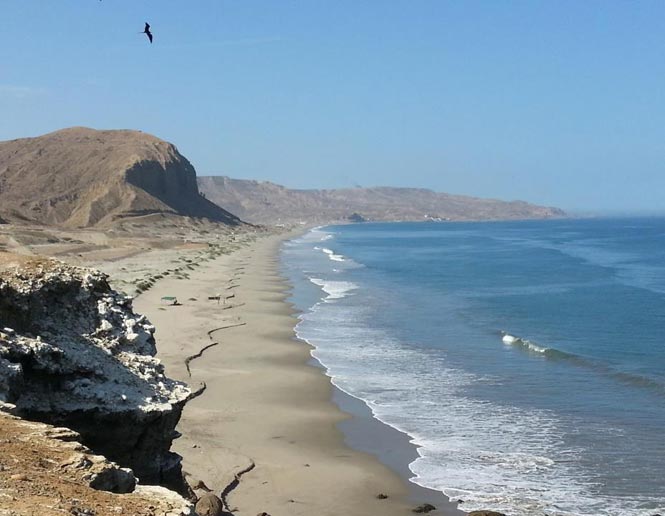 coastal Sand beaches and mudflats