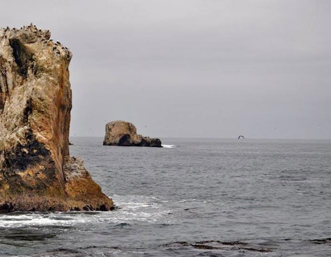 coastal waters