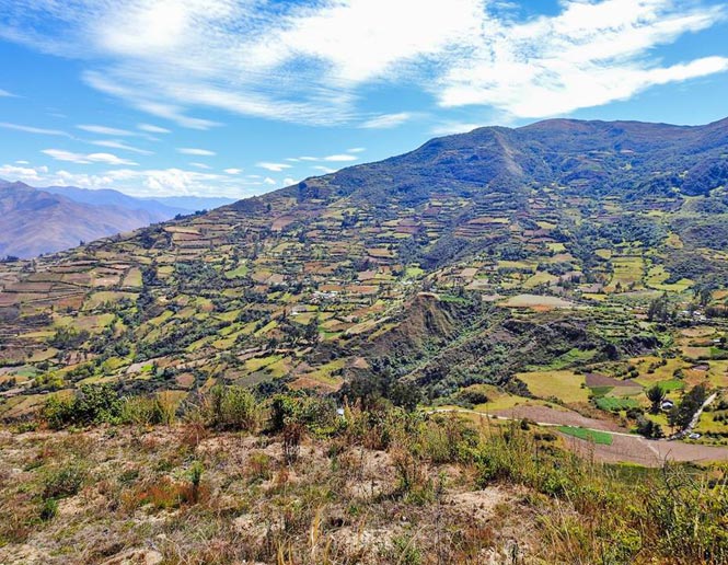 pastures and agricultural lands