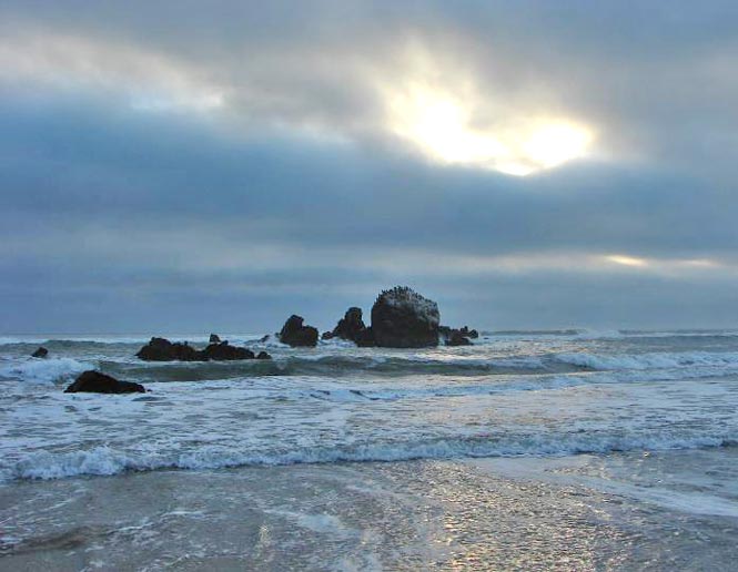 coastal rocky beaches