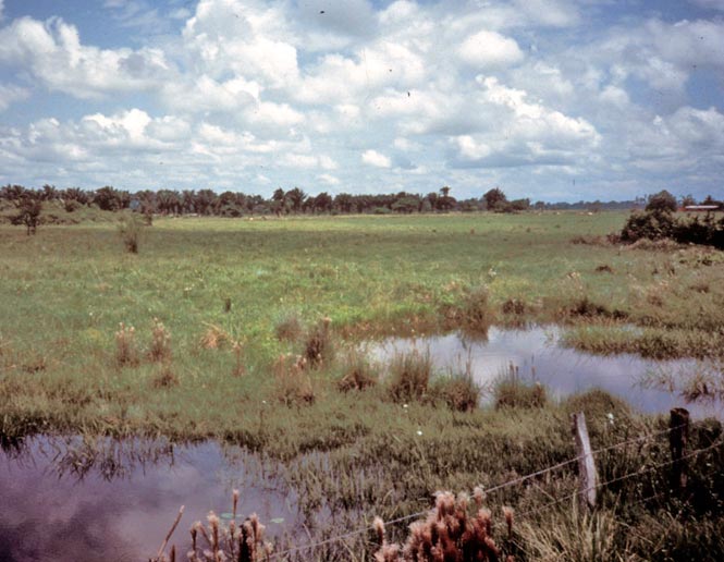 low, seasonally wet grasslands