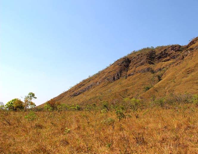 campo grasslands