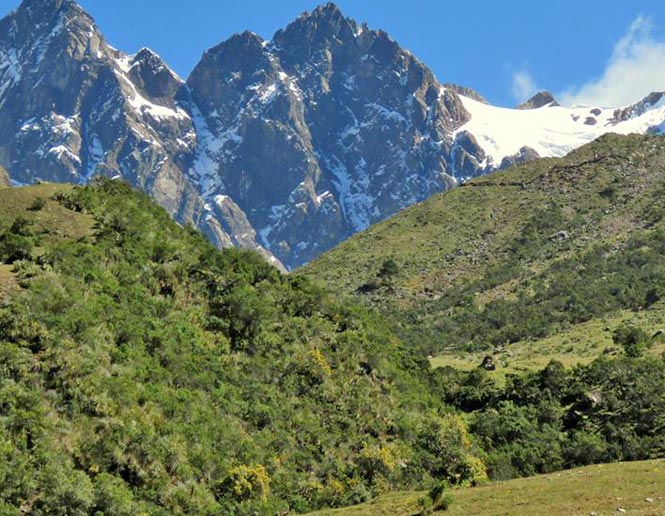 arid montane scrub