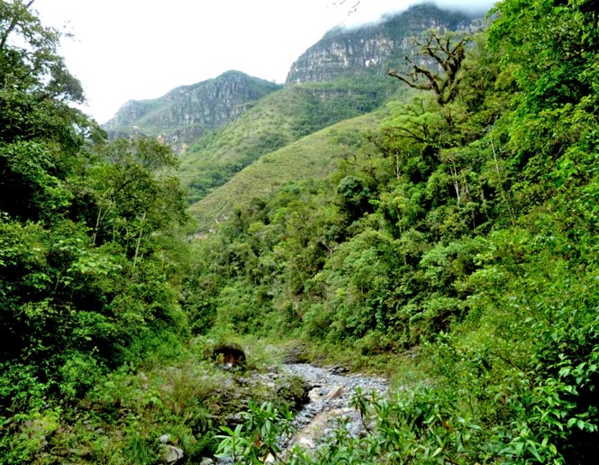 semi-humid & humid montane scrub