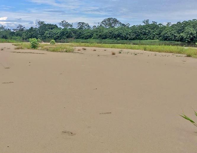 riverine sand beaches