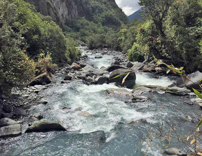 streams