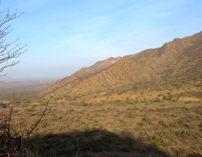 arid lowland scrub