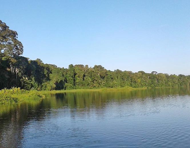 freshwater lakes and ponds