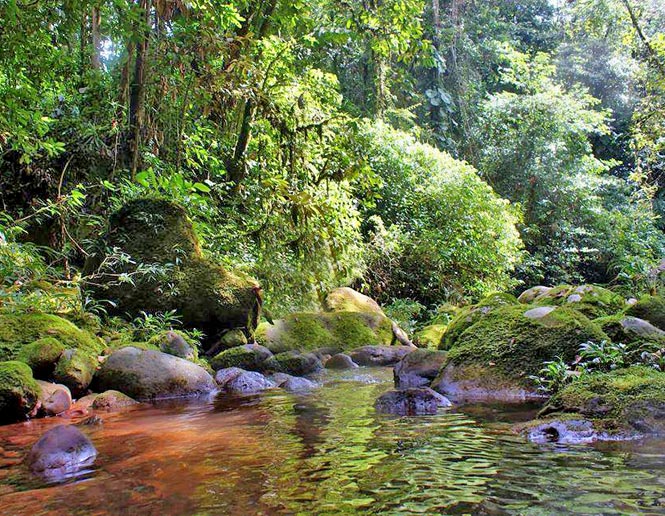 streams