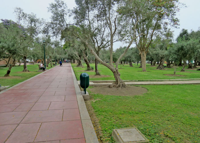 urban habitat park