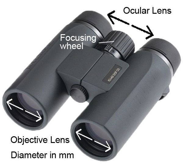 aperture-and-magnification-power_binoculars