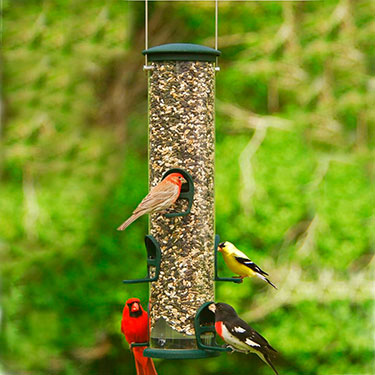 tube bird feeder