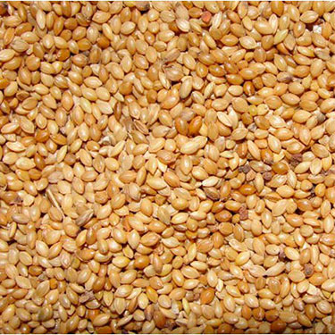 millet birdseed