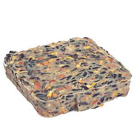 suet_bird food