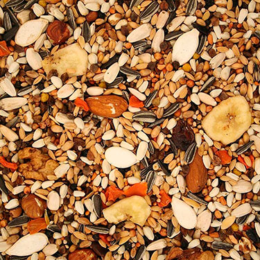 mixed seed bird food