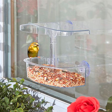window bird feeder
