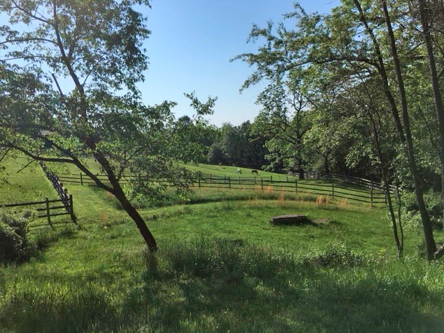 eastern bluebird habitat