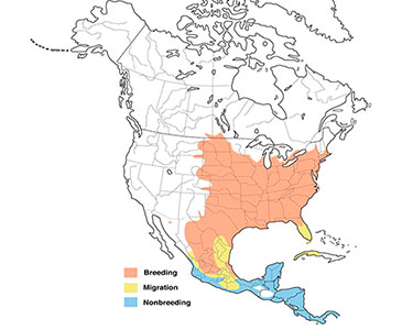 orchard oriole range map