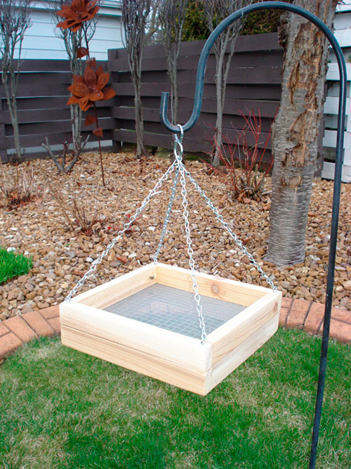 platform bird feeder