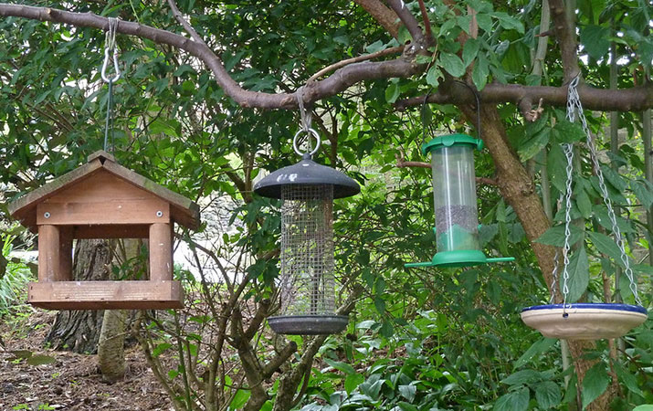 bird feeeders