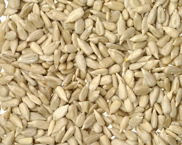 hulled sunflower seed