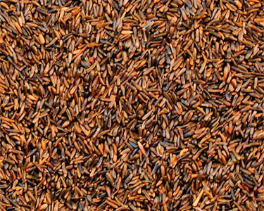 nyjer or thistle
