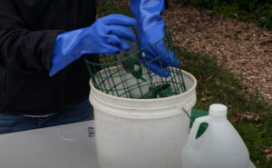 how to clean up your bird feeder