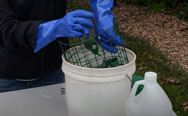 how to clean up your bird feeder