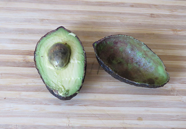 foods-unsafe-for-wild-birds