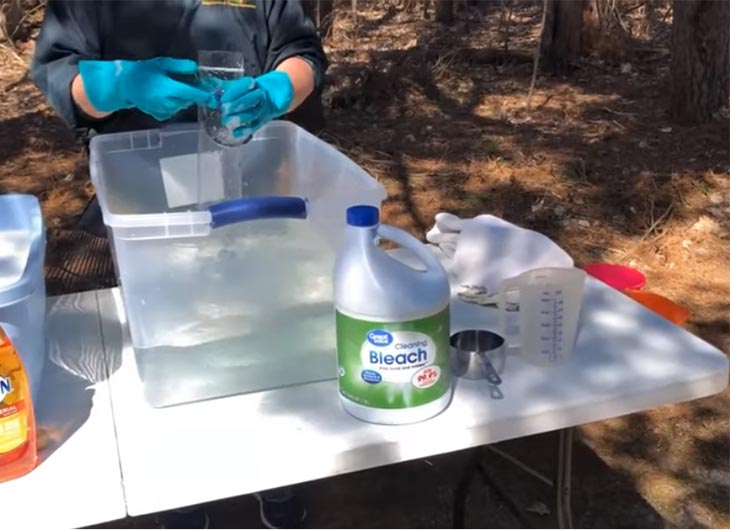 Understanding Backyard Bird Diseases A Comprehensive Guide Avian Report