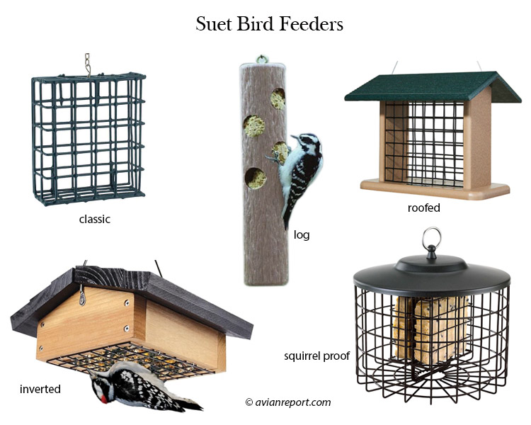 suet bird feeders