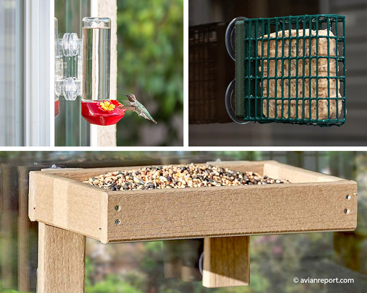window bird feeders