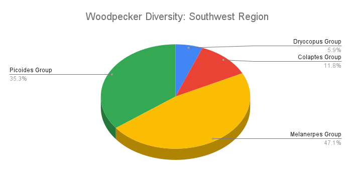 Woodpecker-diversity-southwest
